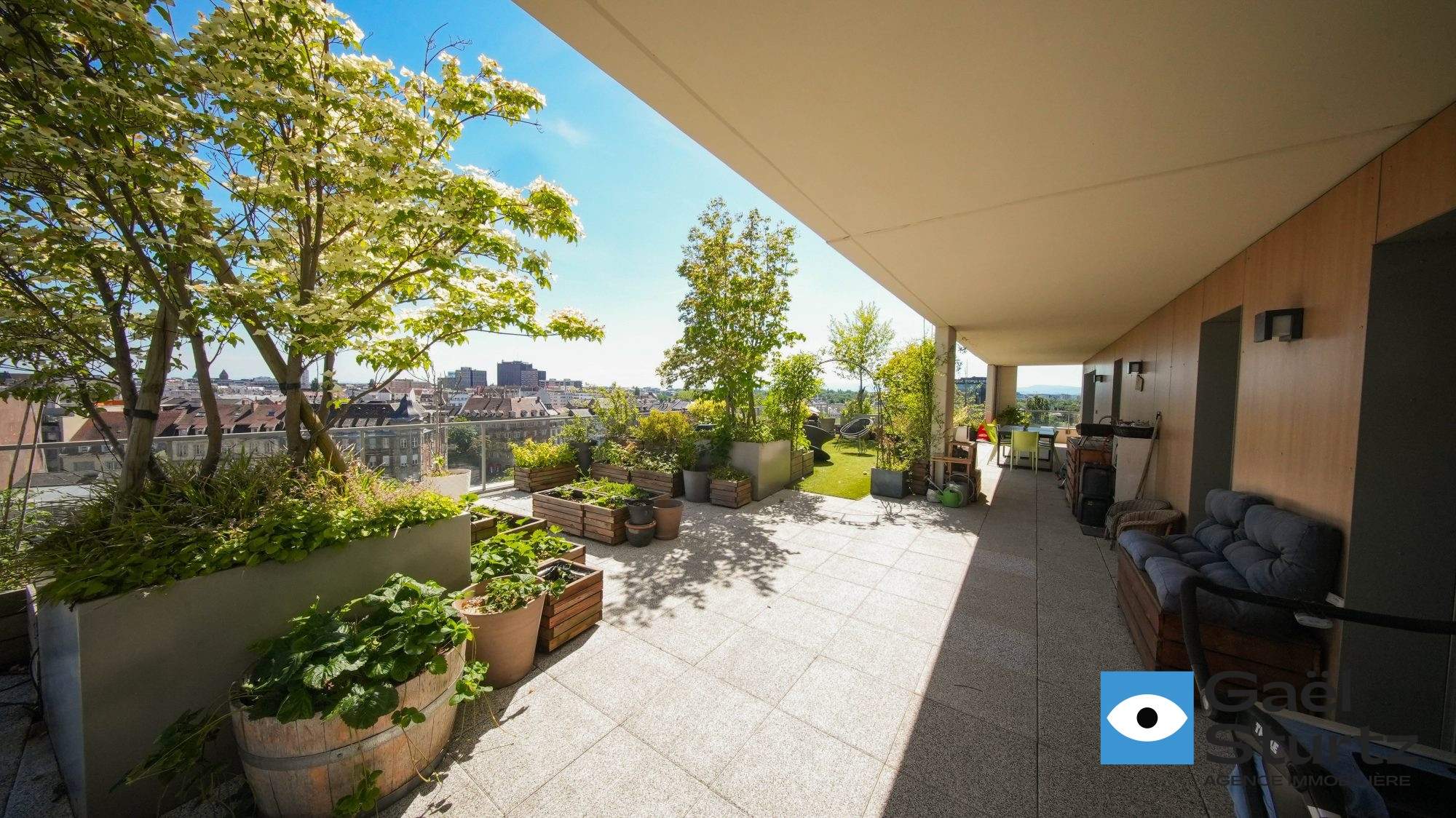 Terrasse arborée avec jardinières et banc le long de la façade.