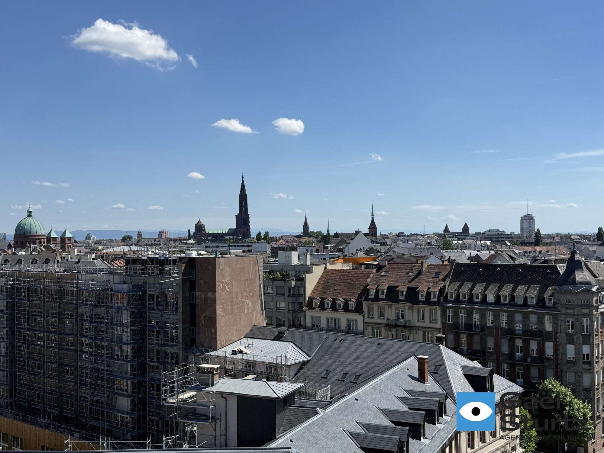 Toits de Strasbourg et silhouette de la cathédrale dans le panorama.