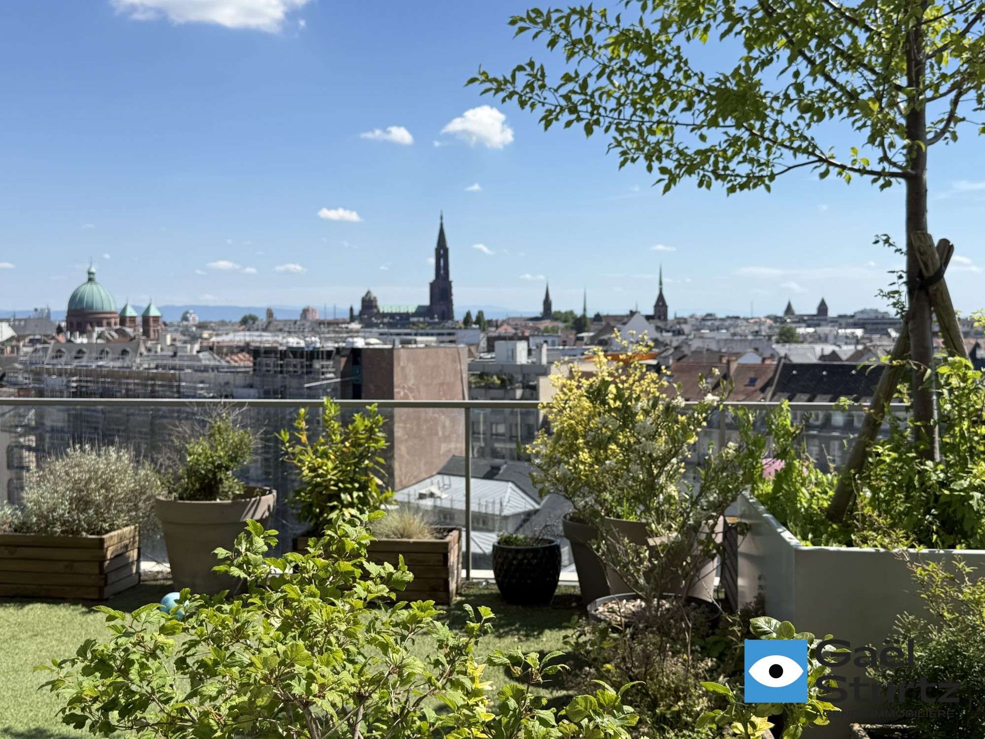 Panorama de Strasbourg avec plantations et garde-corps au premier plan.